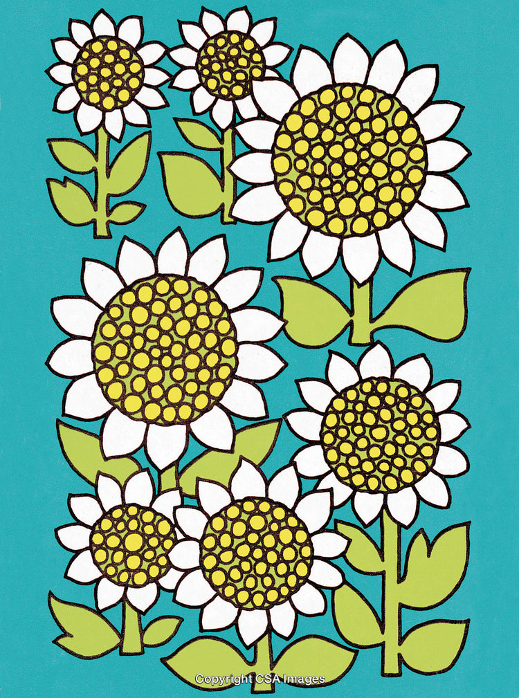 White and Yellow Flowers