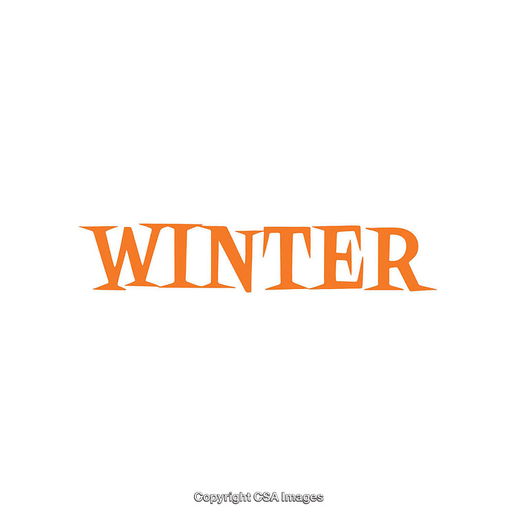 Orange Winter Text Isolated on a Clean White Background