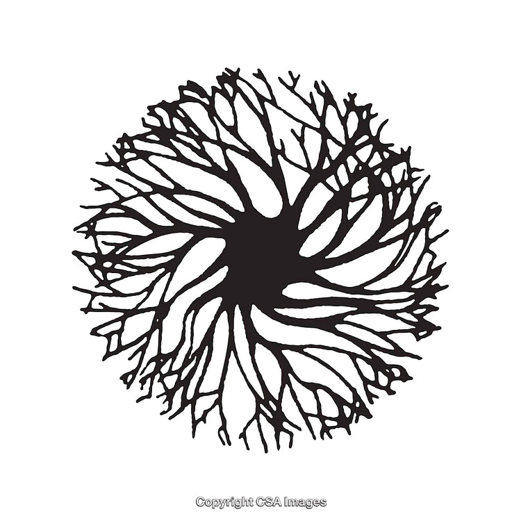Abstract Circular Tree-Like Shape in Black and White on White Background