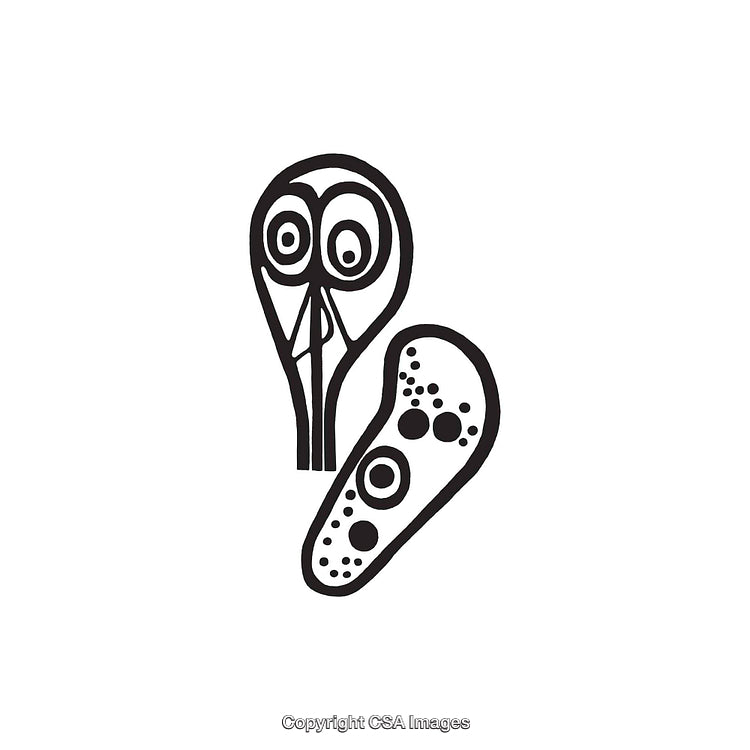 Abstract Black and White Dingbat Shapes with Circular Patterns and Organic Design