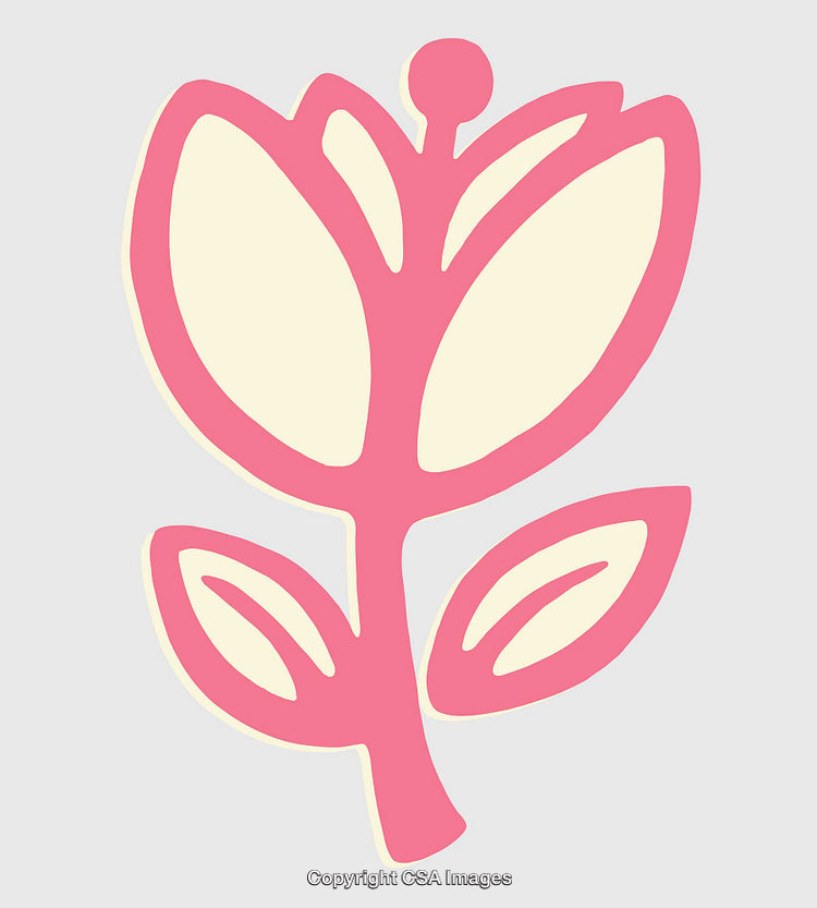 Stylized Pink and Cream Floral Illustration with Minimalist Design