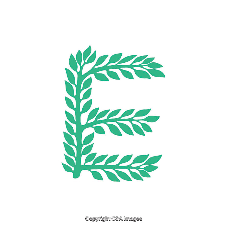 Creative Green Letter E Made of Natural Leaf Motif Art Design
