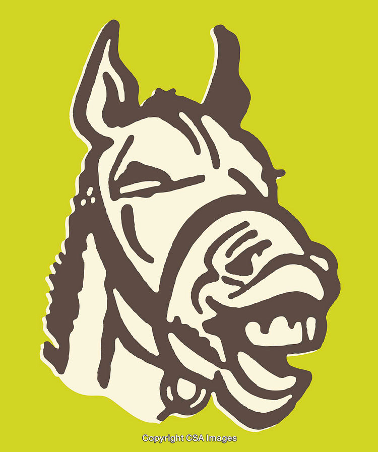Stylized Line Art Illustration of a Laughing Horse on Green Background