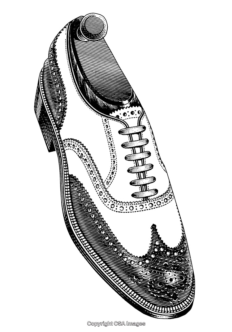 Detailed Engraving of a Classic Wingtip Oxford Shoe in Black and White