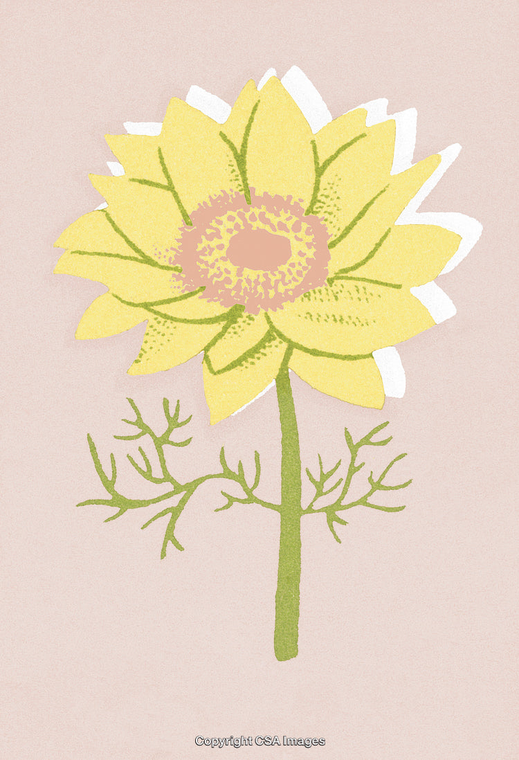 One Flower