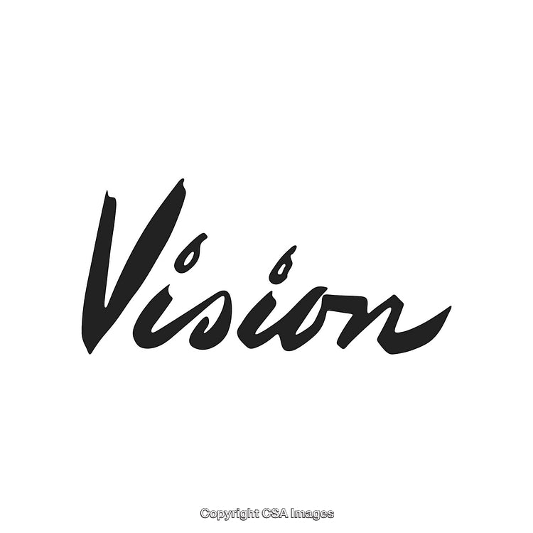 Cursive Black Text of the Word Vision on a Clean White Background