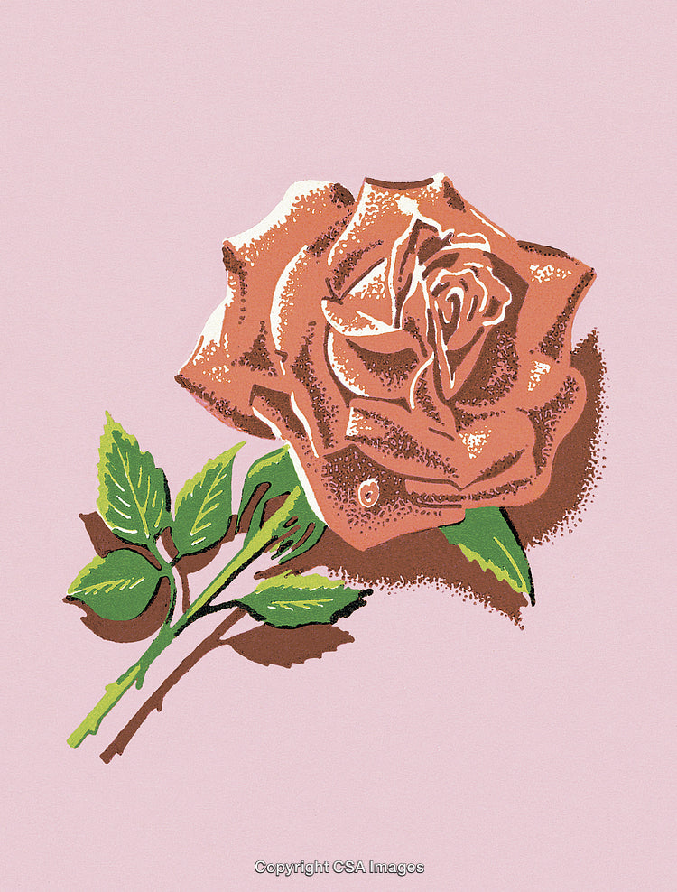Red Rose