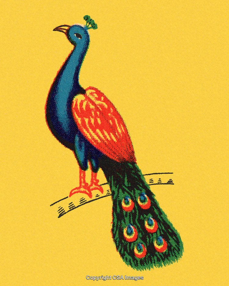 Colorful Peacock Illustration on Vibrant Yellow Background