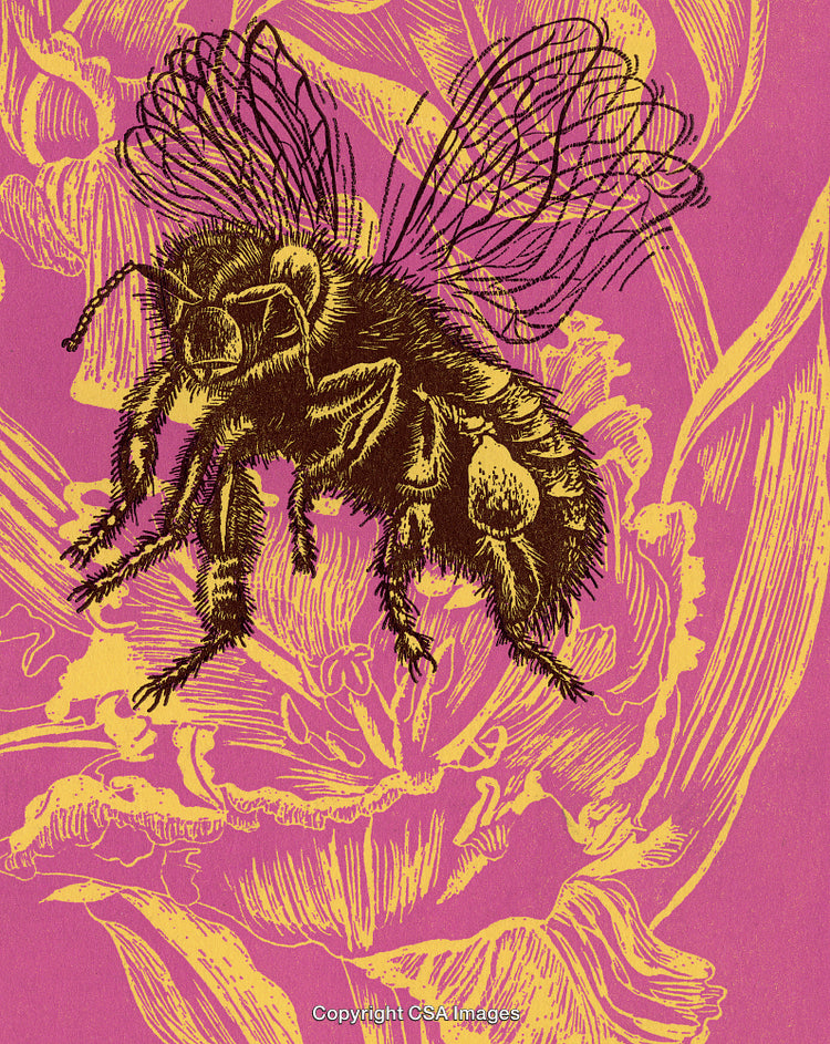 Detailed Illustration of a Honeybee Overlapping Floral Patterns