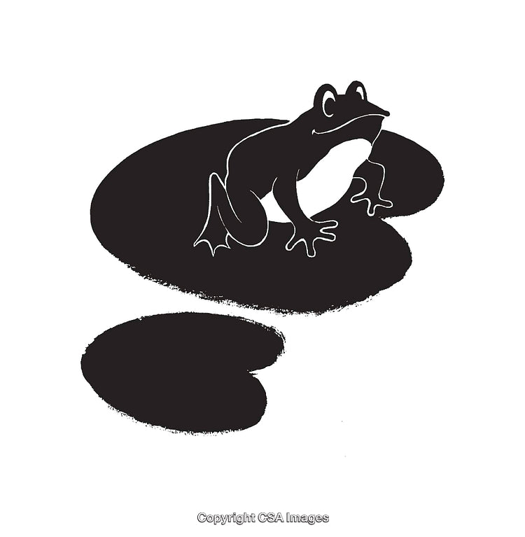 Black and White Illustration of Frog on Lily Pad in Pond Scene