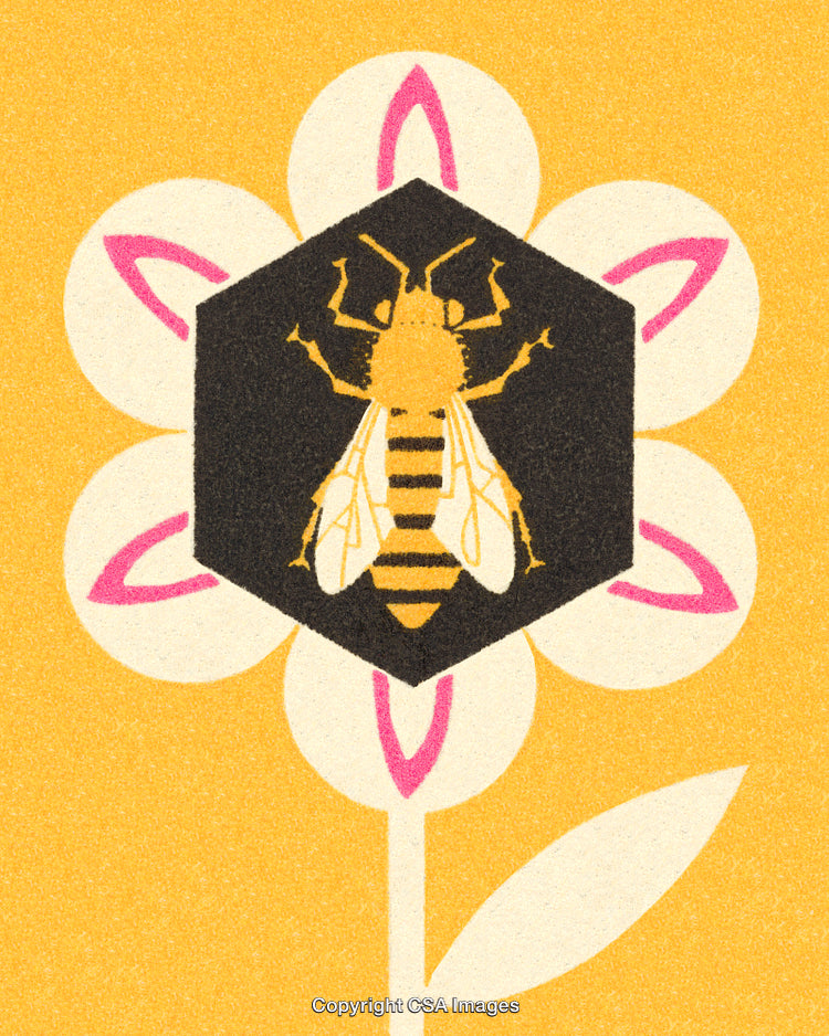 Illustration of a Honeybee on a Stylized Flower with Hexagon Hive Design