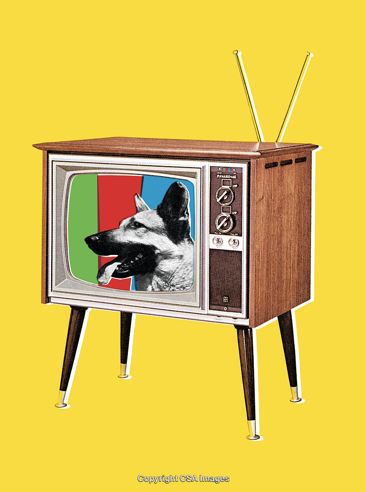 Vintage Television Displaying Dog Illustration on Yellow Background with Retro Aesthetic