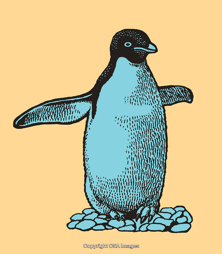 Colorful Line Art Illustration of a Penguin on a Rocky Surface
