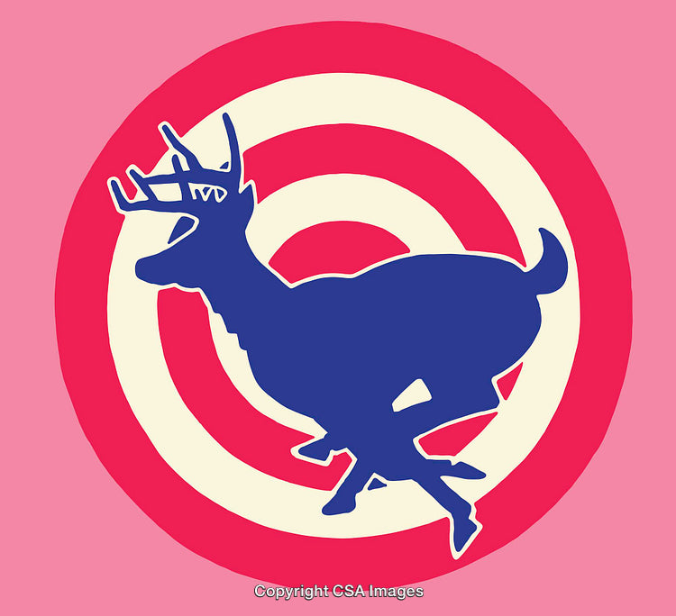 Colorful Deer Silhouette Against a Vibrant Circular Bullseye Design