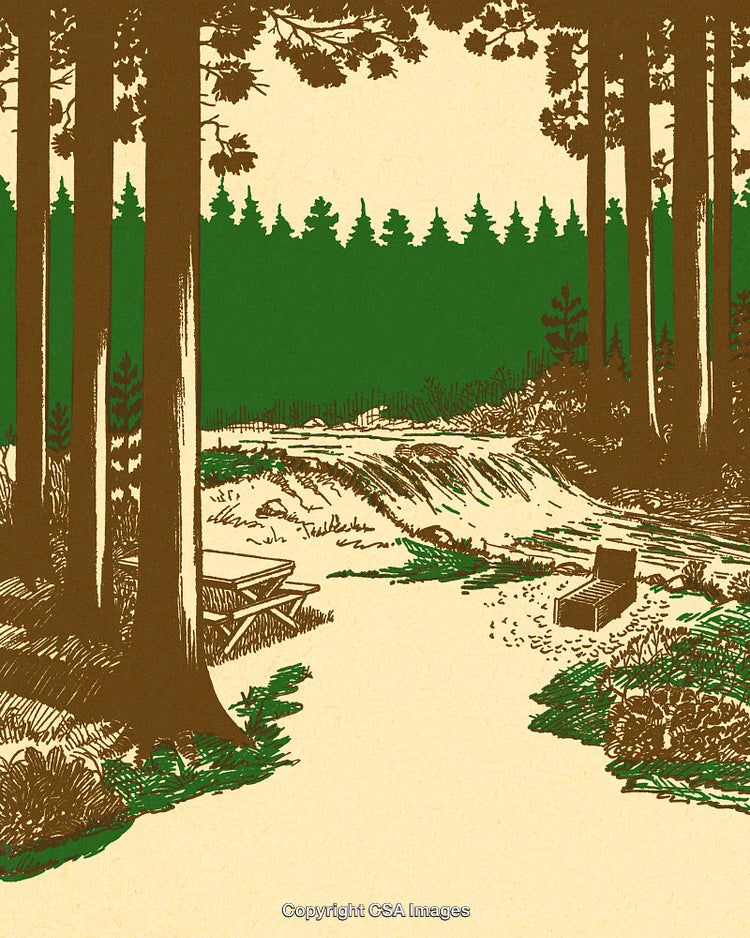Scenic Forest Landscape with Picnic Area and Nature Elements