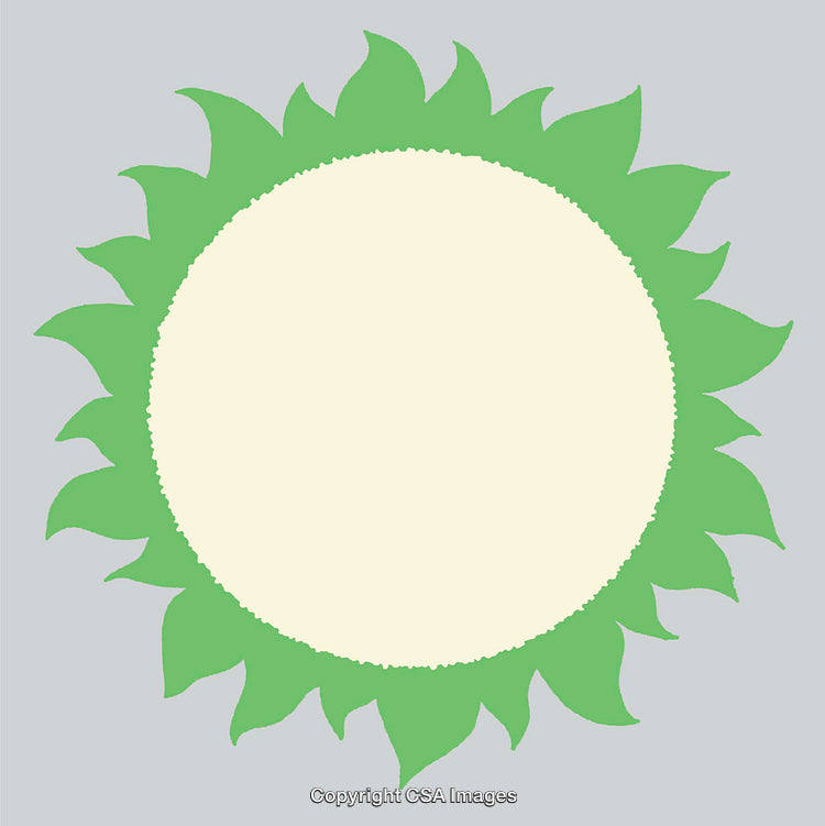 Green and Cream Circular Design With Decorative Artistic Line Art