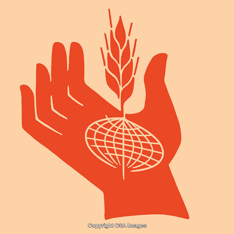 Hand Holding a Grain with a Globe Design in Minimal Line Art