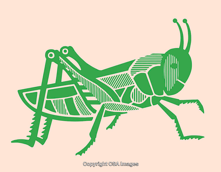 Green Grasshopper Illustration in Colorful Line Art Style