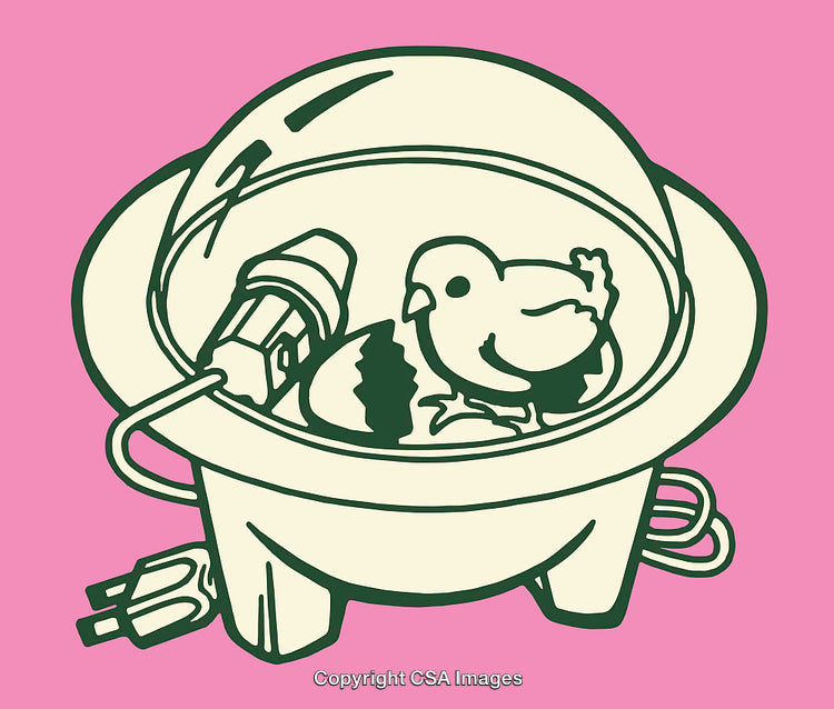 Illustration of a Hatching Chick in an Incubator with Vibrant Pink Background