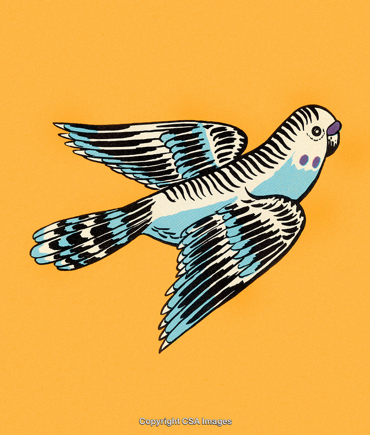 Colorful Artistic Illustration of a Flying Parakeet on a Bright Yellow Background