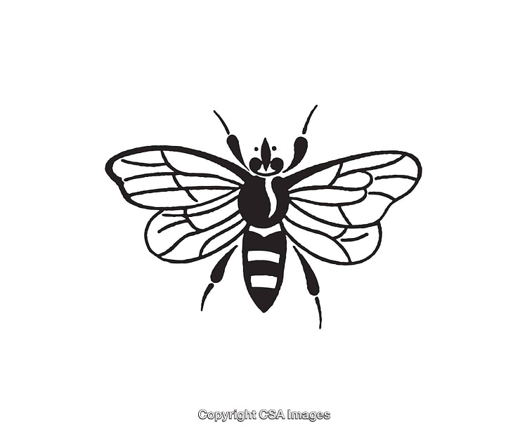 Black and White Line Art of a Bee Design with Intricate Details