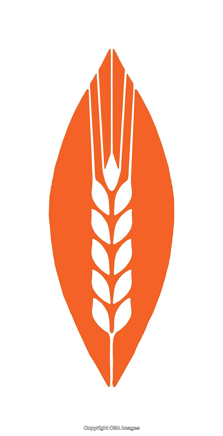 Abstract Orange Wheat Symbol Representing Agriculture and Sustainability