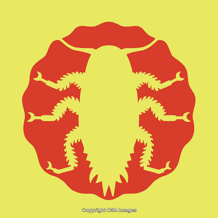Silhouetted Insect Line Art with Vibrant Colors