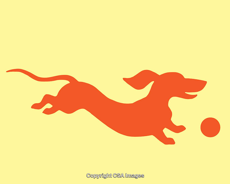Playful Dachshund Silhouette Leaping Toward a Ball in Minimalist Style