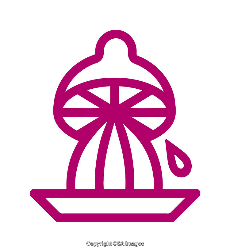 Icon of a Citrus Juicer in Minimal Design