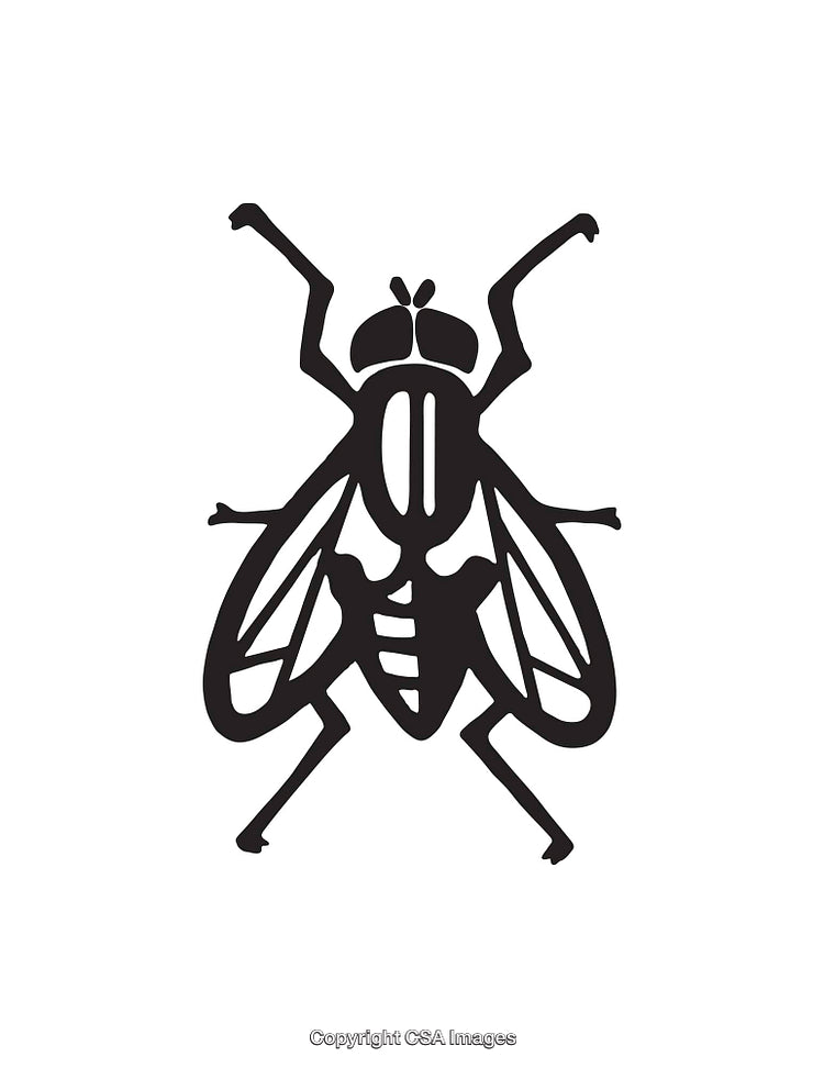 Black Silhouette Icon of an Insect in Detailed Style