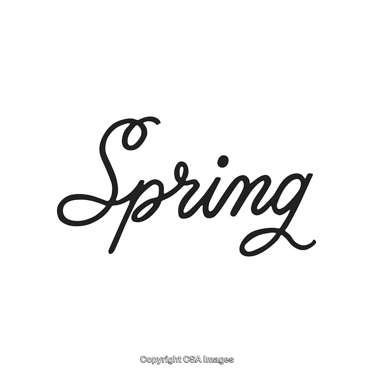 Elegant Handwritten Script Featuring the Word Spring in Black on White Background