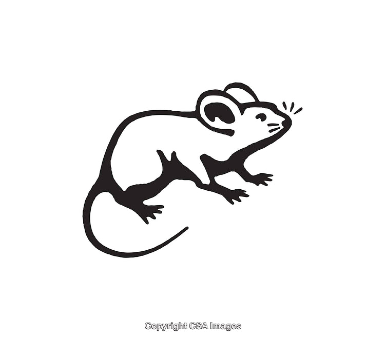 Simple Black and White Illustration of a Mouse in Line Art Form