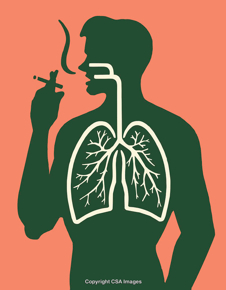 Illustration Showing Effects of Smoking on Human Lungs and Respiratory System