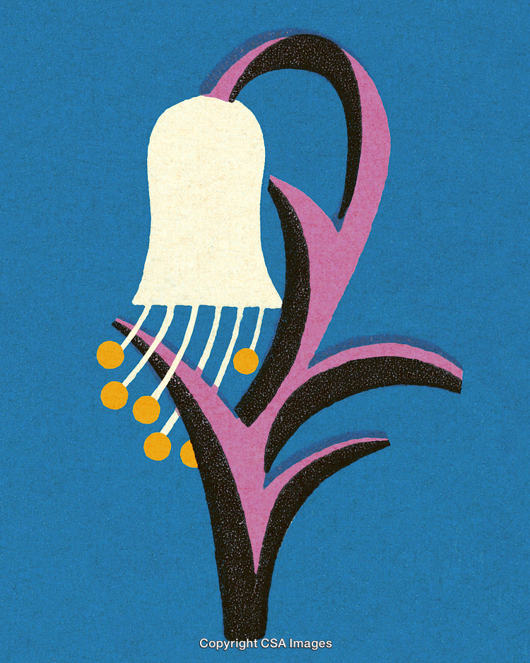 Abstract Floral Artwork with Modern Artistic Shapes and Bright Colors