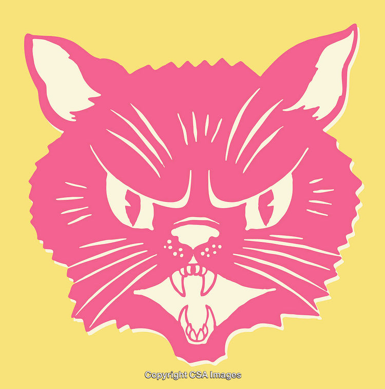Pink and Yellow Cat Illustration Showing Anger in Vibrant Colors