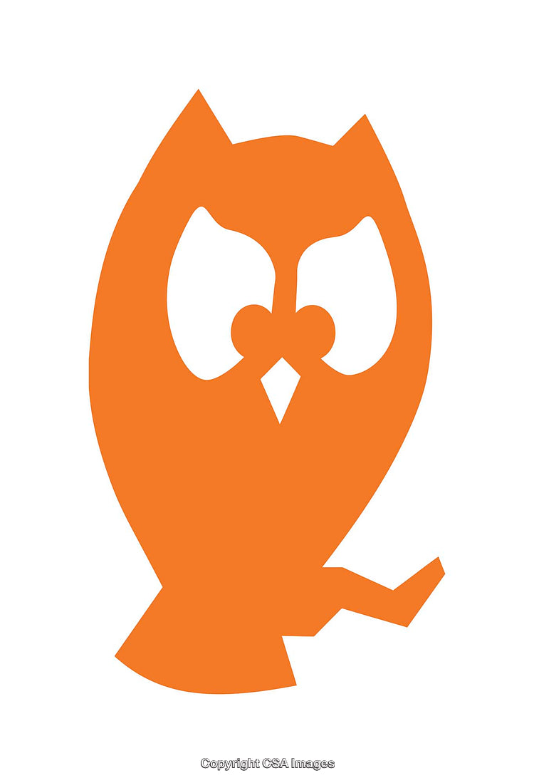 Compact Stylized Orange Owl Icon Design on White Background