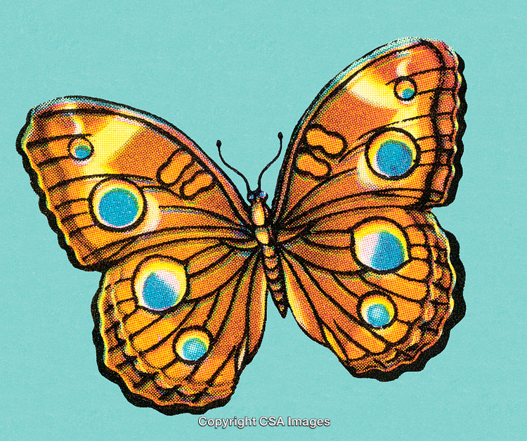 Vibrant Orange Butterfly with Blue Eye-Spots on a Teal Background