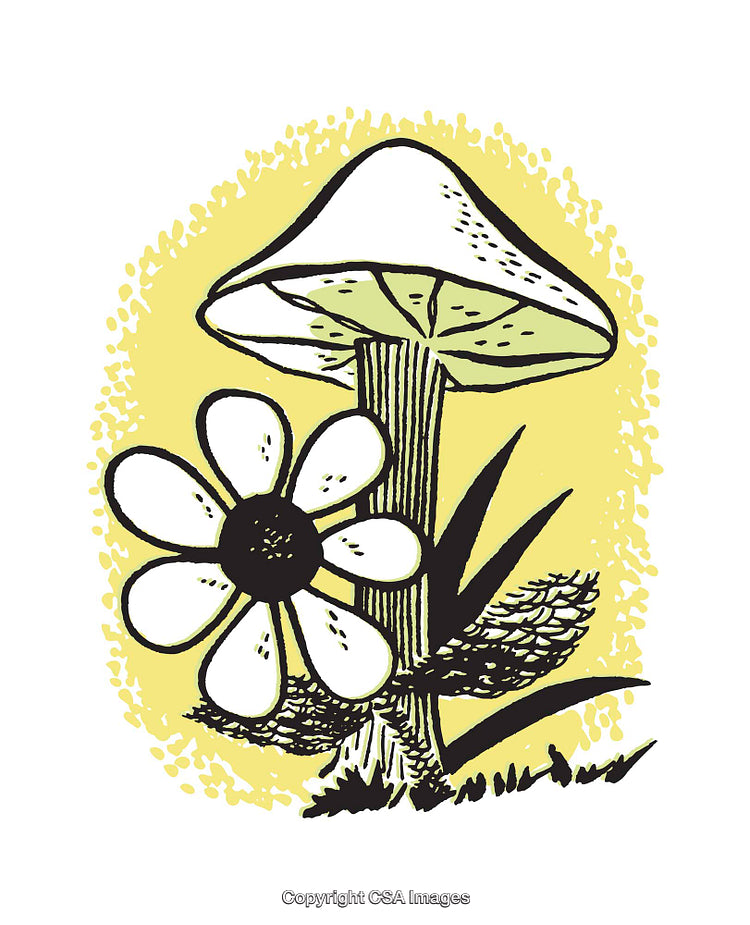 Illustrated Mushroom and Flower Drawing on a Yellow Background