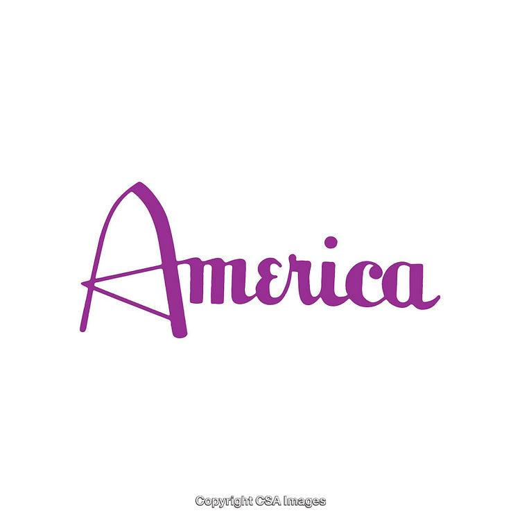 Stylized Purple America Text Logo on White Background