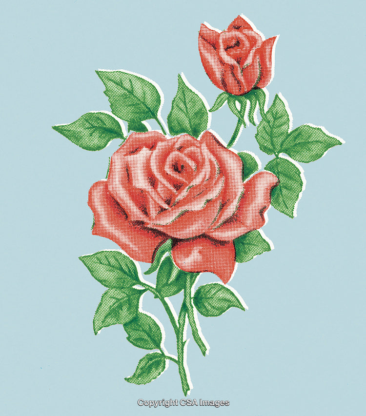 Red Roses