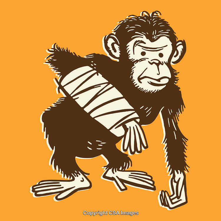 Vintage Illustration of a Chimpanzee in Bandages on an Orange Background