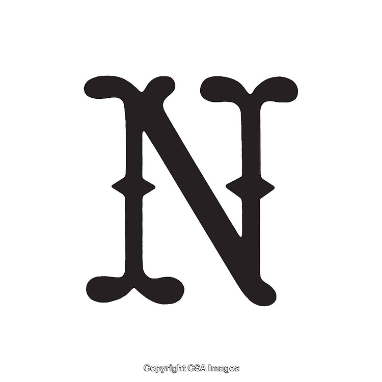 Elegant Serif Letter N in Bold Black on White Background
