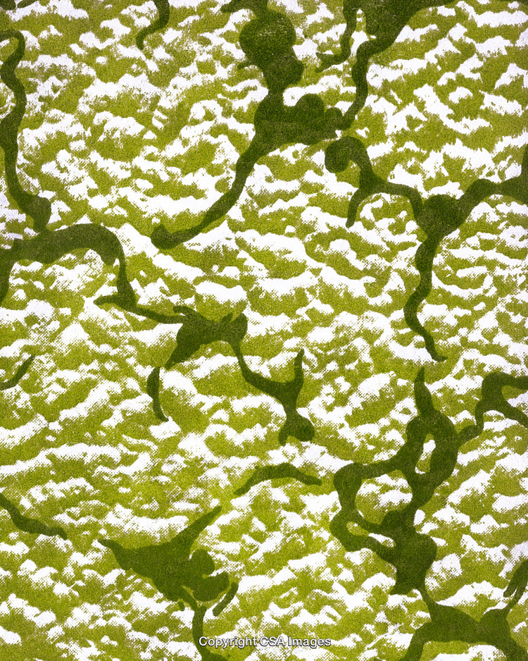 Pattern