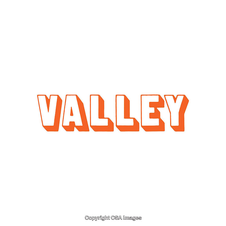 Bold Orange Word Art Design Featuring the Word 'Valley'