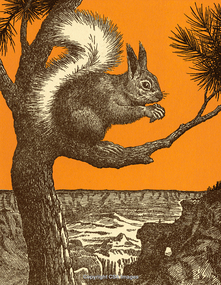 Illustration of a Squirrel Perched on a Tree Overlooking a Canyon Landscape