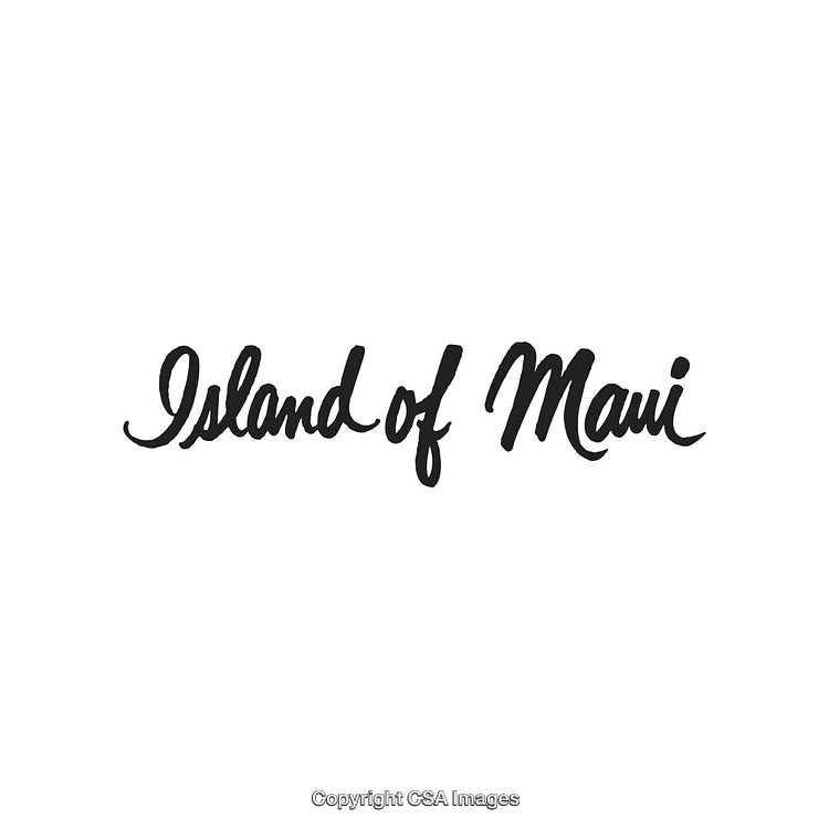 Island of Maui Calligraphy Black Text on Simple White Background