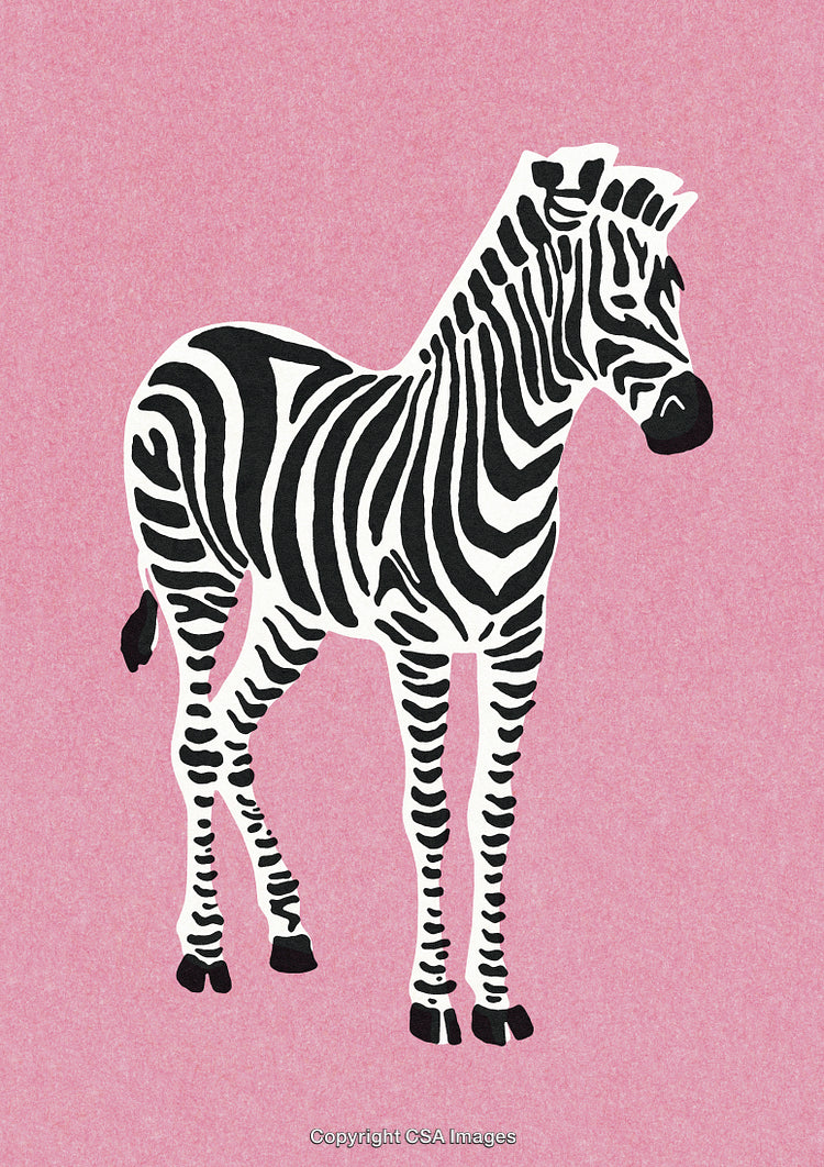 Stylized Zebra Illustration on Pink Background with Black and White Stripes