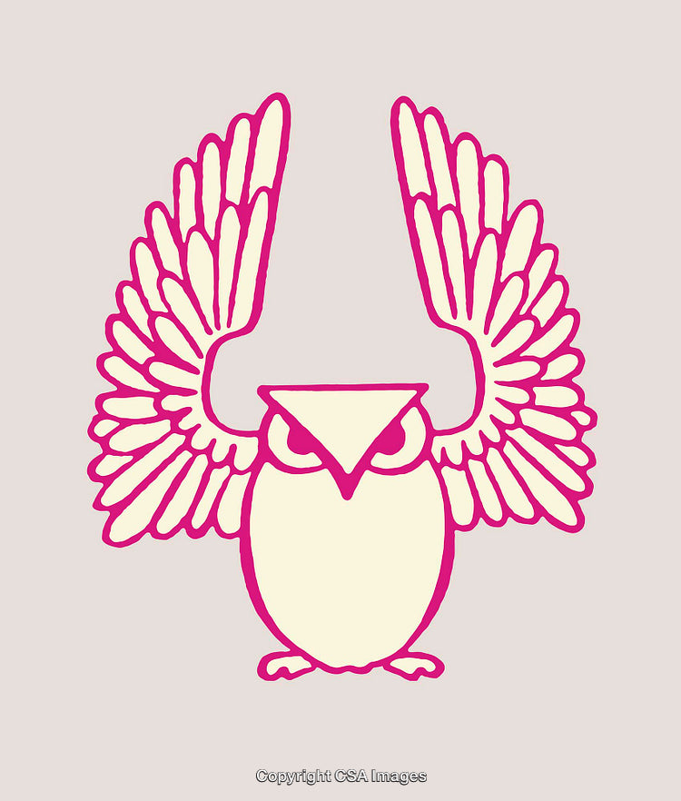 Colorful Line Art Illustration of an Owl With Raised Wings