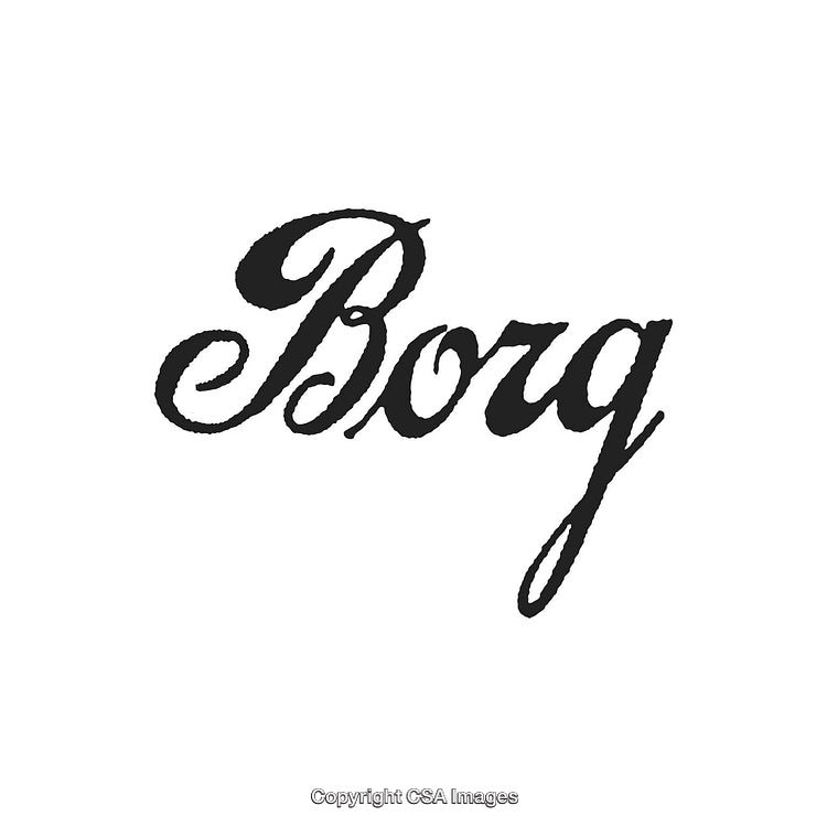 Elegant Calligraphy Text Display With "Borg" Inscription in Black