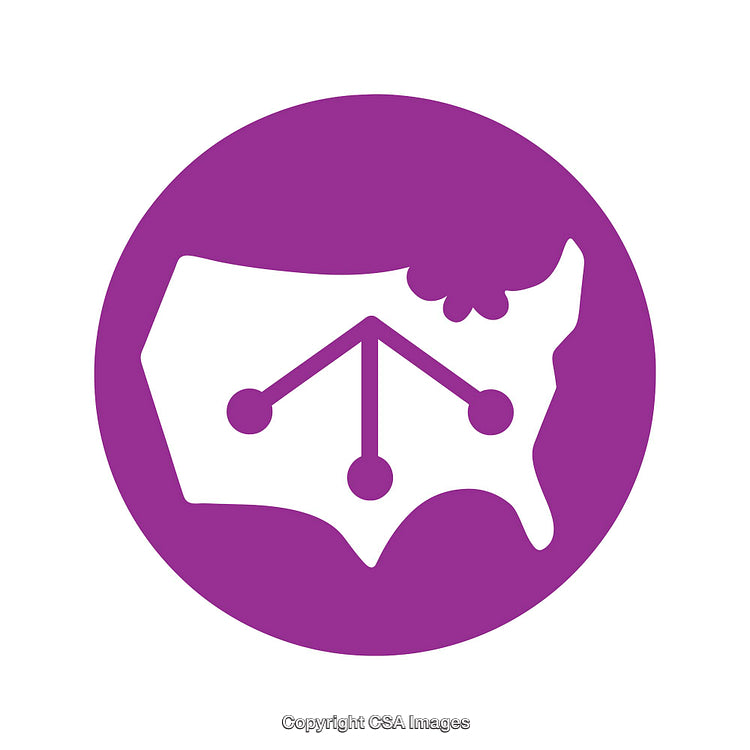 Purple USA Icon with Network Diagram Design In Circular Shape